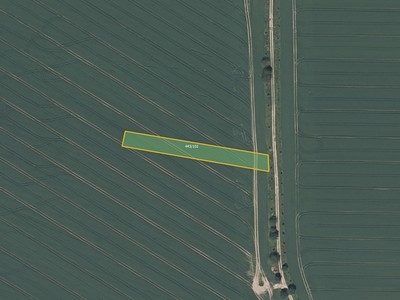 Prodej  pole 11 020 m² — photo 2