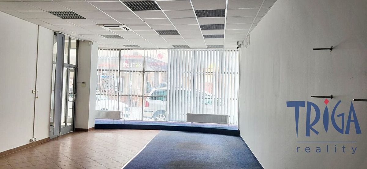 Pronájem obchodního prostoru 318 m² – fotografie 3