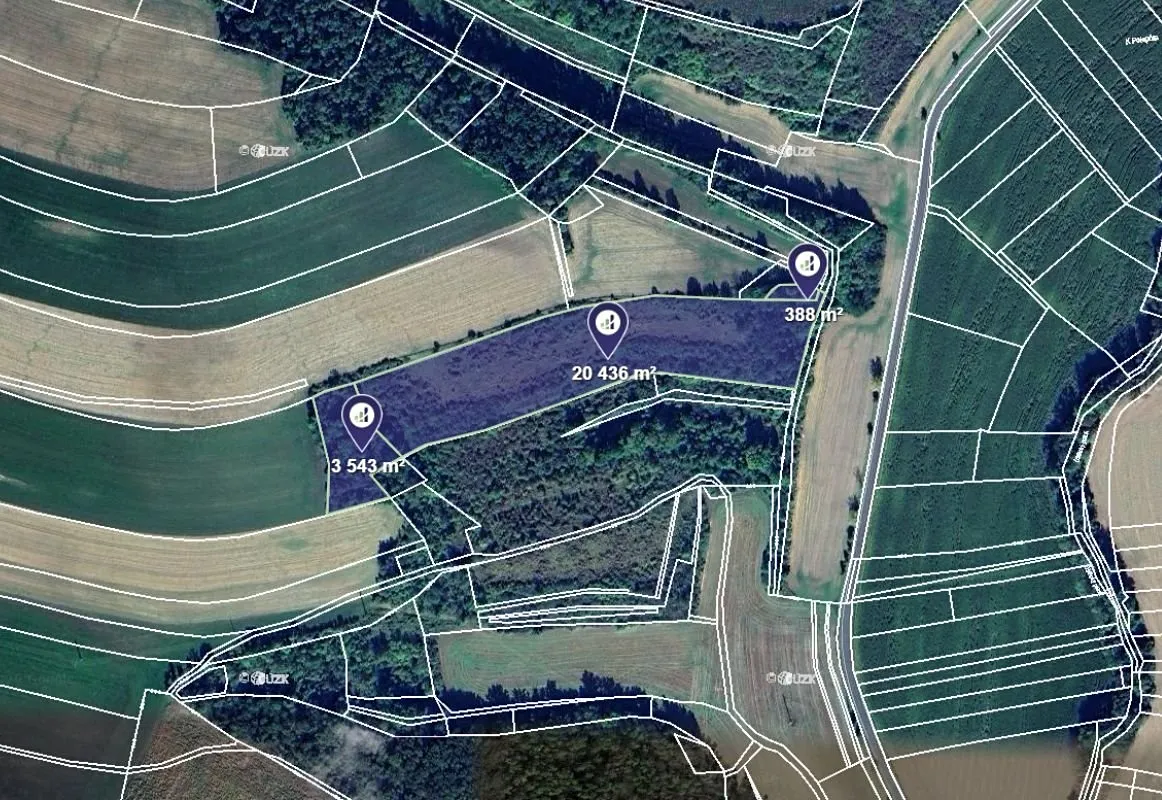Prodej louky 24367 m²