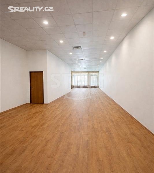 Pronájem obchodního prostoru 530 m² – pohled 4