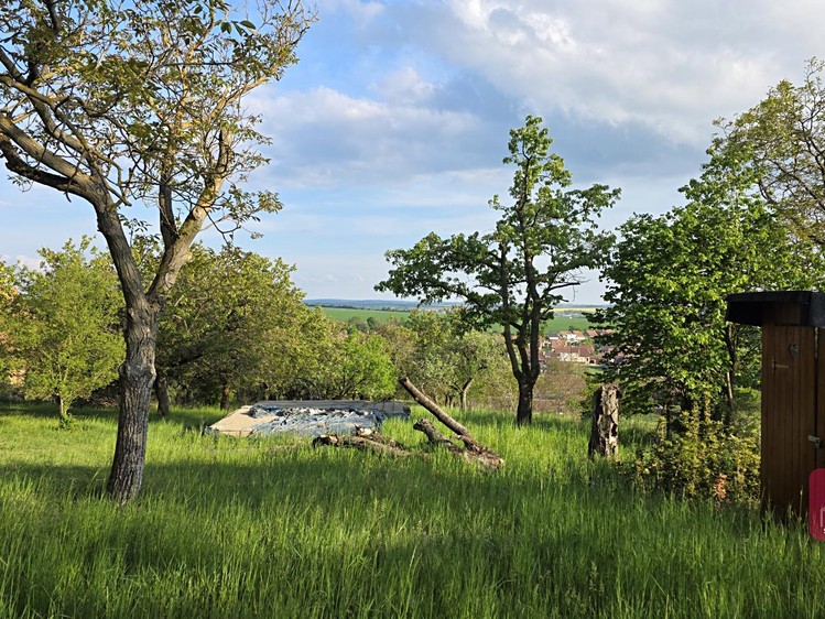 Ostatní