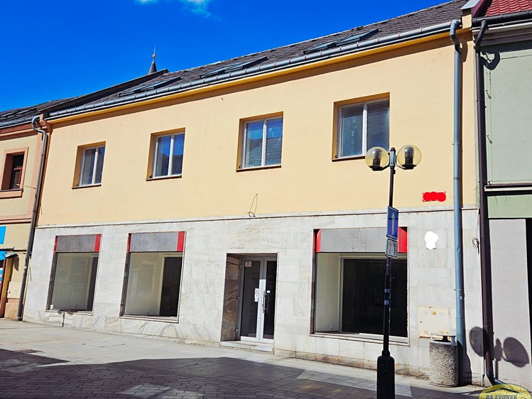 Pronájem komerčního prostoru, 599 m² (1 z 12)