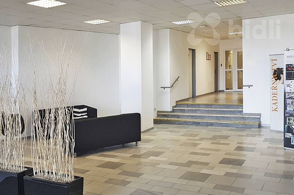 Pronájem kanceláře 30 m² – fotografie 2