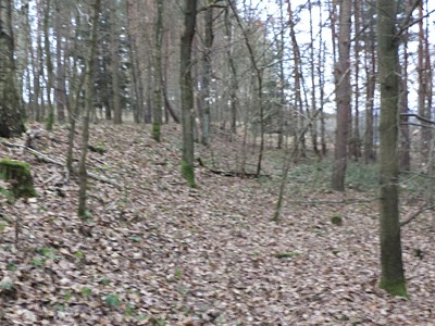 Grundstück zum Kauf, 28.299 m² (2 von 7)