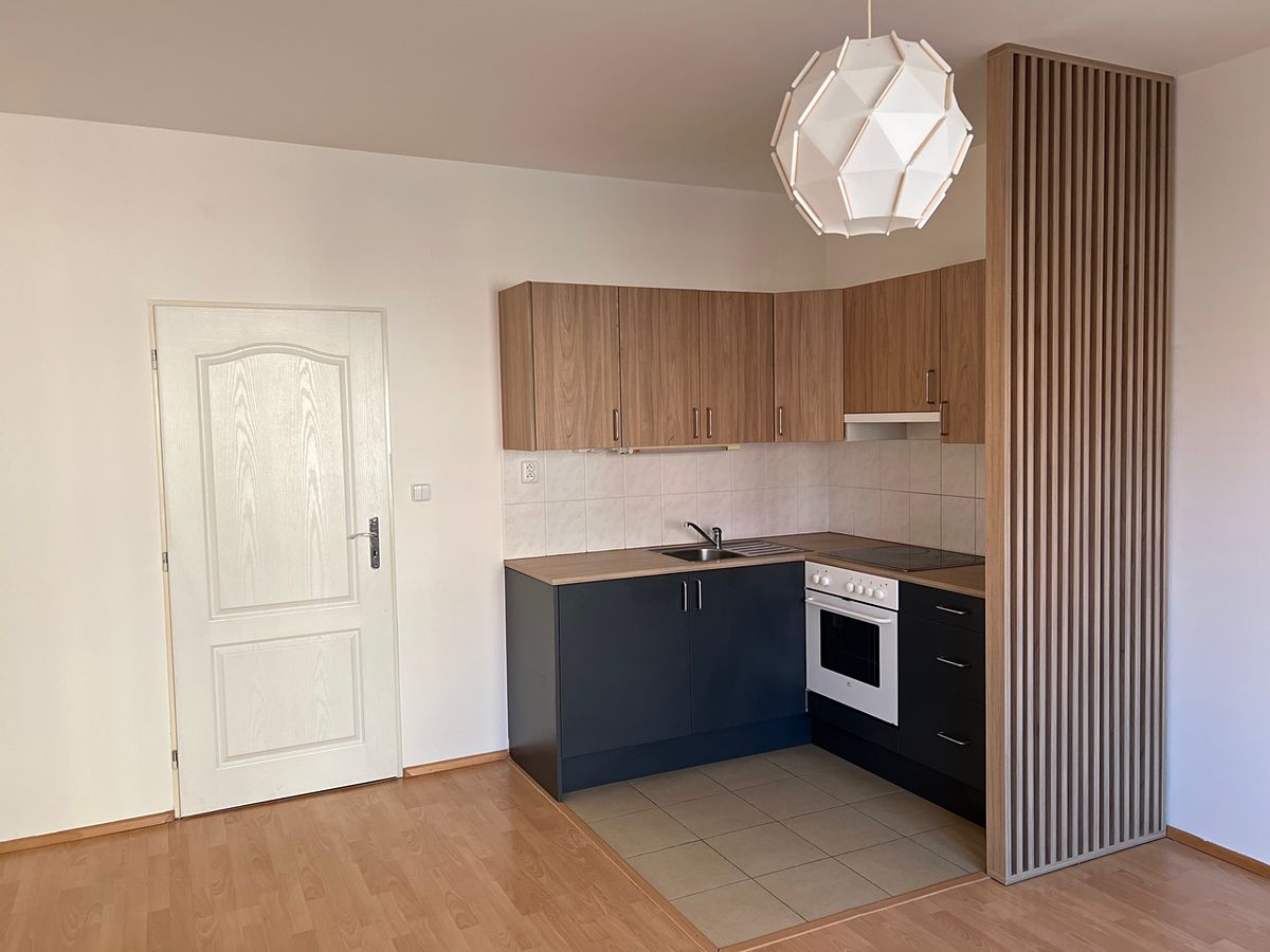Pronájem bytu 1+kk 30 m² (Jednopodlažní)
