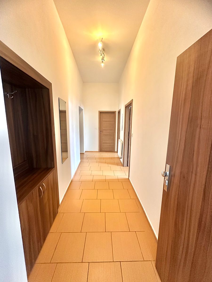 Pronájem bytu 1+1 65 m² – fotografie 3