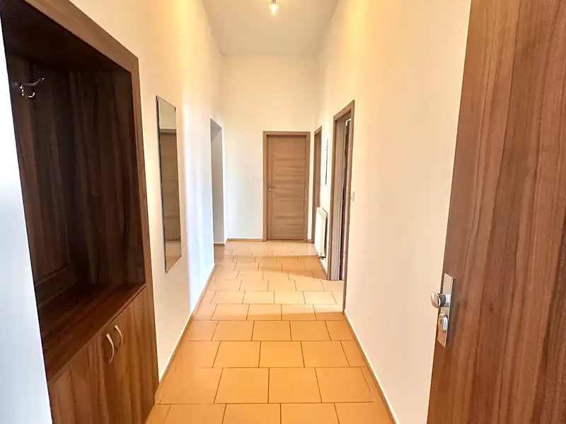 Pronájem bytu 1+1 65 m², Plzeň – náhled fotky 3