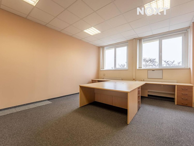 Комерційне приміщення в оренду, 251 м² (3 з 30)