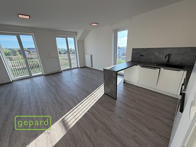 Pronájem bytu 1+kk 46 m²
