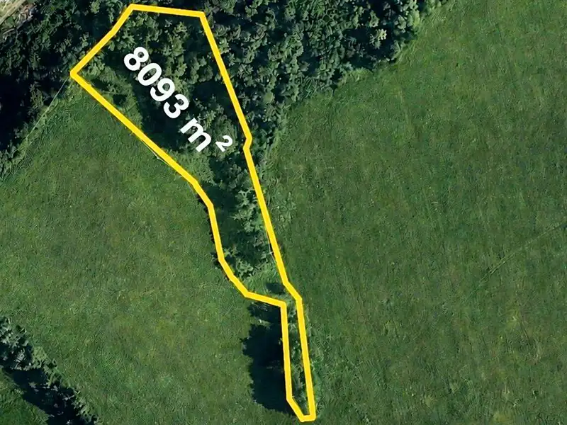 Prodej louky 8093 m², Heřmanice – náhled fotky 1