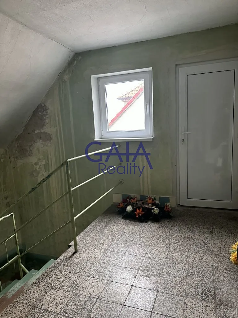 Fotka 11 z 22