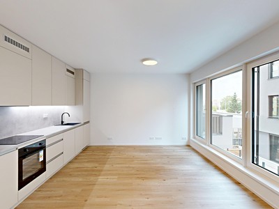 Pronájem bytu 1+kk, 29 m² (2 z 7)