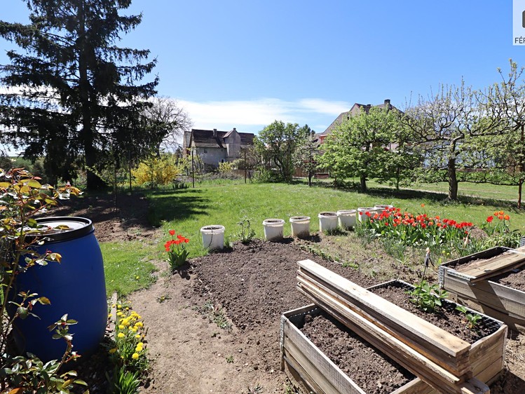 Prodej domu, 482 m² (14 z 38)