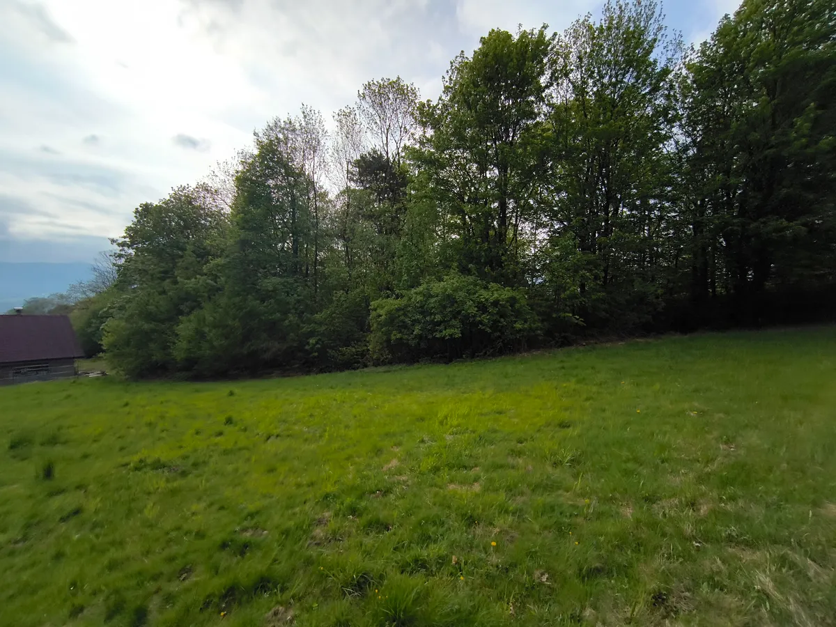 Fotka 11 z 23