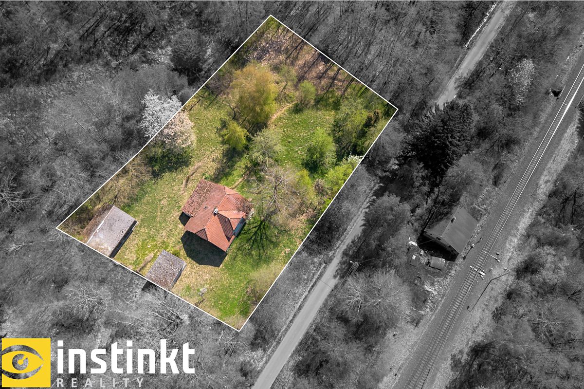 Prodej rodinného domu 290 m², pozemek 2871 m² – fotografie 4