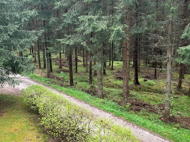 Prodej chaty 60 m², pozemek 53 m², Tatrovice – náhled fotky 3