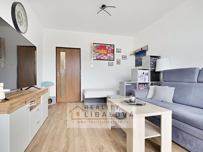 Pronájem bytu 1+1 45 m²