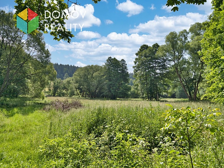 Prodej pozemku, 5 555 m² (2 z 4)