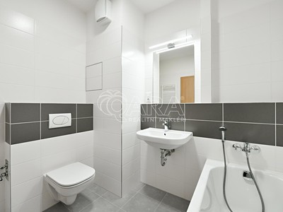 Pronájem bytu 1+kk 40 m² (Jednopodlažní) — photo 4
