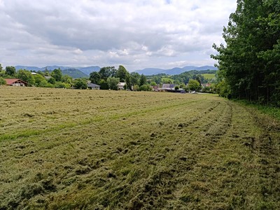 Grundstück zum Kauf, 1.482 m² (2 von 15)