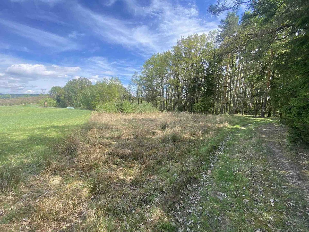 Prodej pole 5875 m² – fotografie 3