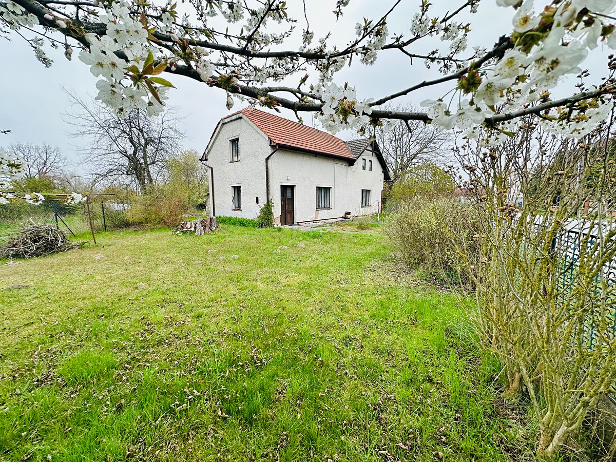 Prodej rodinného domu 150 m², pozemek 3560 m² – fotografie 4