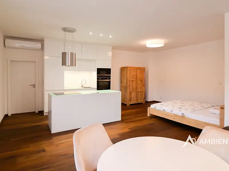 Pronájem bytu 1+kk 53 m², Brno – náhled fotky 2