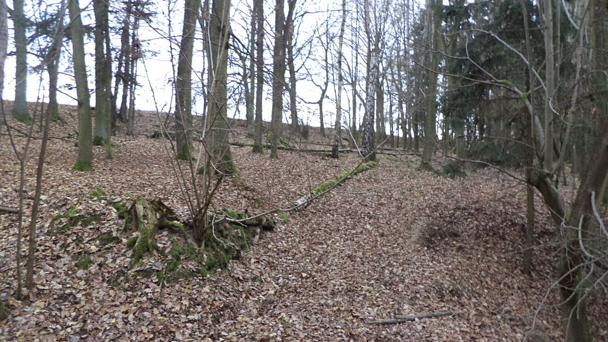 Prodej lesa 28299 m², Křečovice – fotka 1 z 3