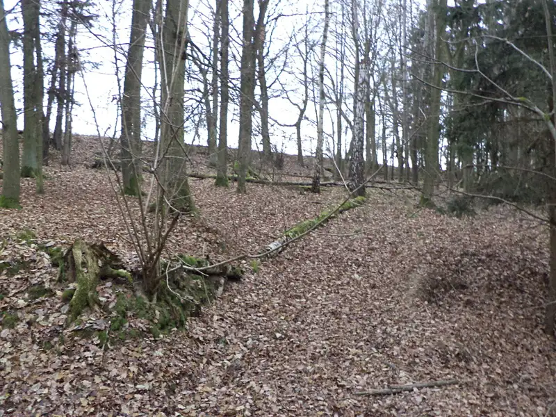 Prodej lesa 28299 m², Křečovice – náhled fotky 1