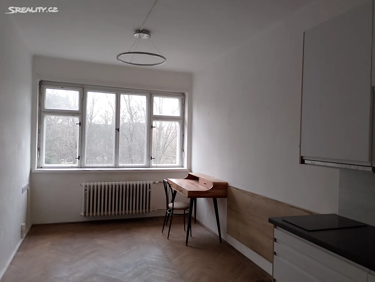 Pronájem bytu 1+kk 29 m² – pohled 2