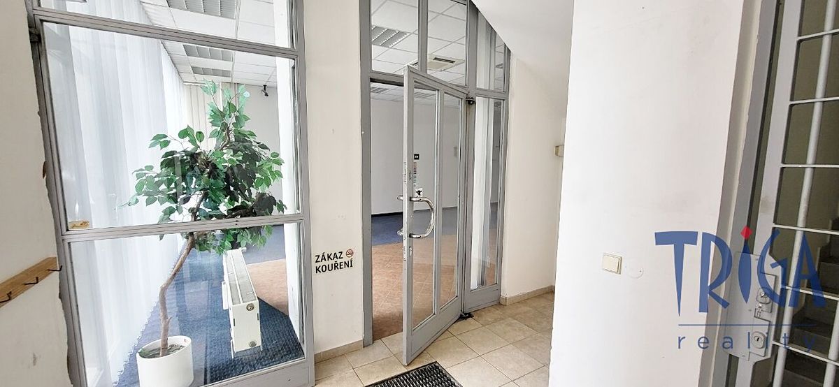 Pronájem obchodního prostoru 318 m² – fotografie 2