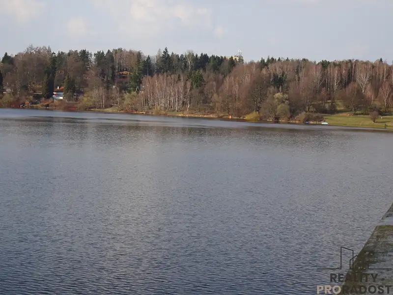 Prodej lesa 637 m², Seč – náhled fotky 3