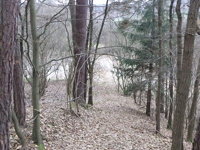 Grundstück zum Kauf, 28.299 m² (3 von 7)