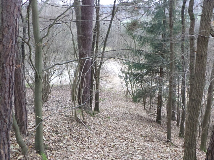 Grundstück zum Kauf, 28.299 m² (3 von 7)