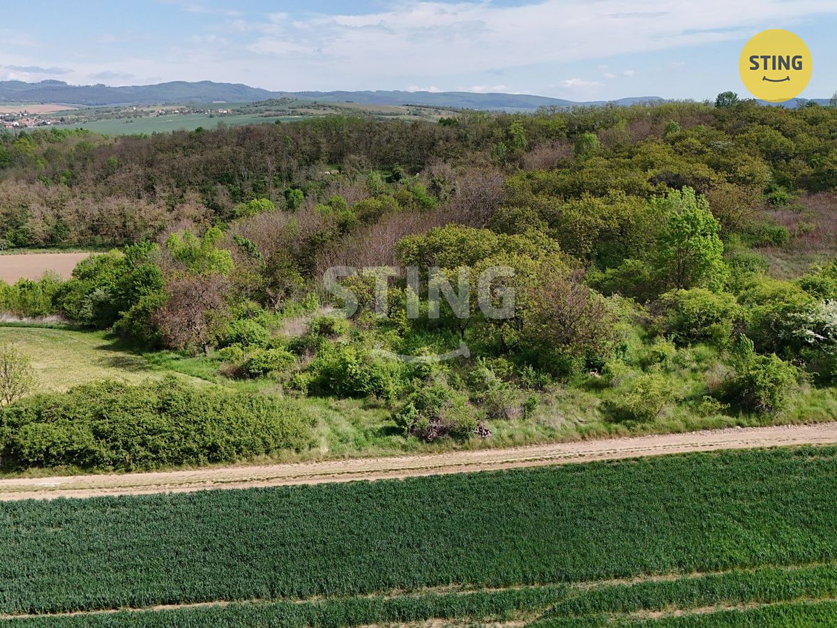 Prodej sadu, vinice 1561 m² – fotografie 3
