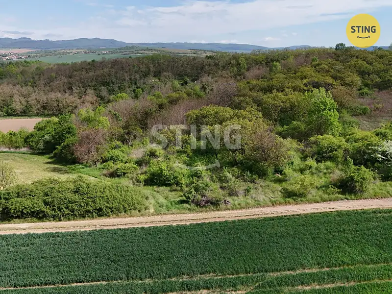 Prodej sadu, vinice 1561 m², Kelčany – náhled fotky 3