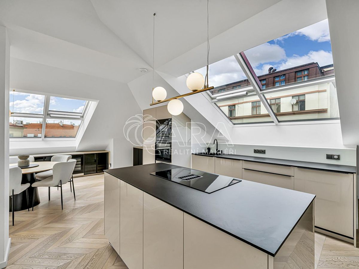 Pronájem bytu 4+kk 119 m² – fotografie 4