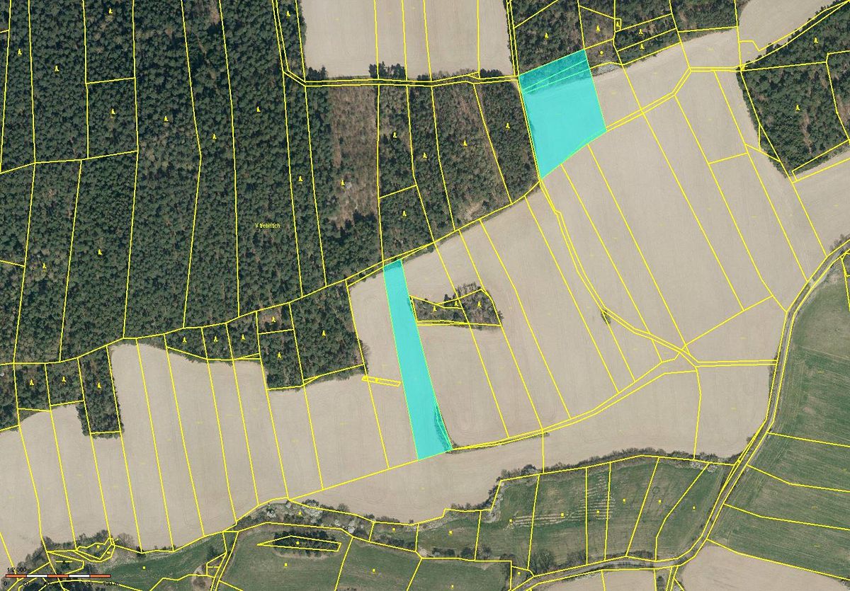 Prodej pole 68656 m², Mečichov – fotka 1 z 3