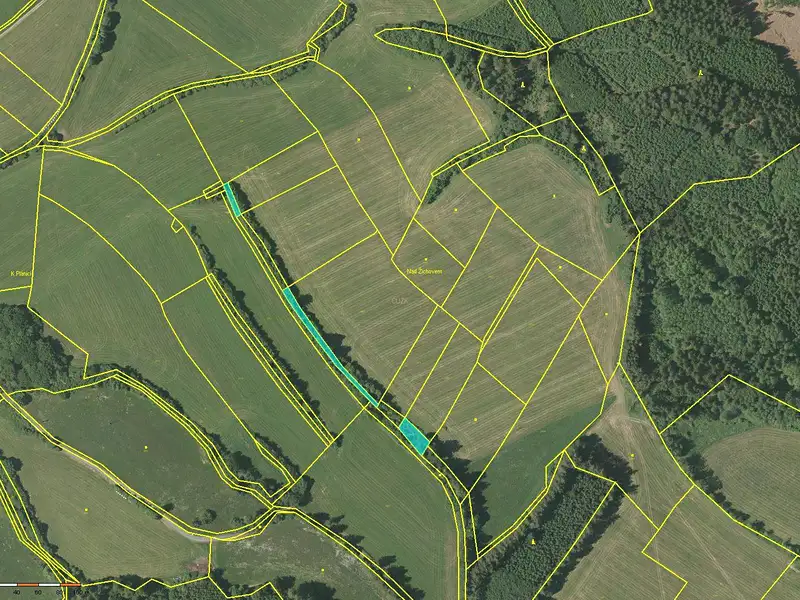 Prodej pole 6968 m², Plánice – náhled fotky 2