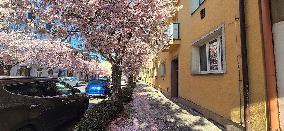 Prodej bytu 2+1 56 m²