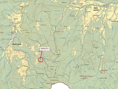Dražba  lesa 6 298 m²