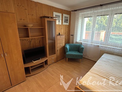 Pronájem bytu 1+1 40 m²