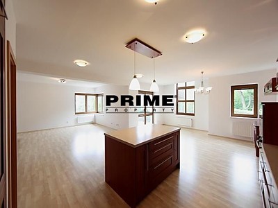 Pronájem  rodinného domu 410 m², pozemek 1 036 m² — photo 3