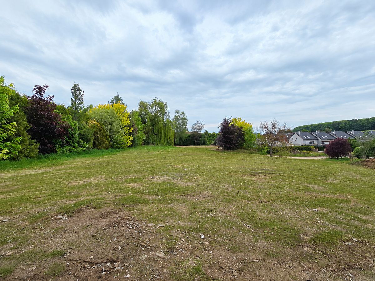 Prodej stavebního pozemku 3871 m² – fotografie 3