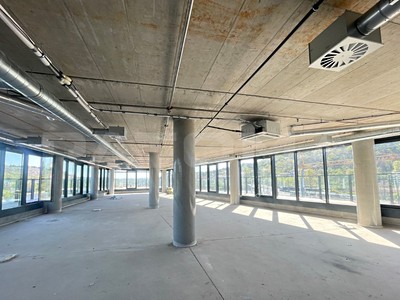 Pronájem kanceláře 198 m² — photo 4