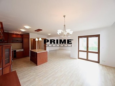 Pronájem  rodinného domu 410 m², pozemek 1 036 m² — photo 4