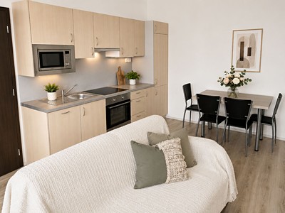 Pronájem bytu 2+kk 42 m²