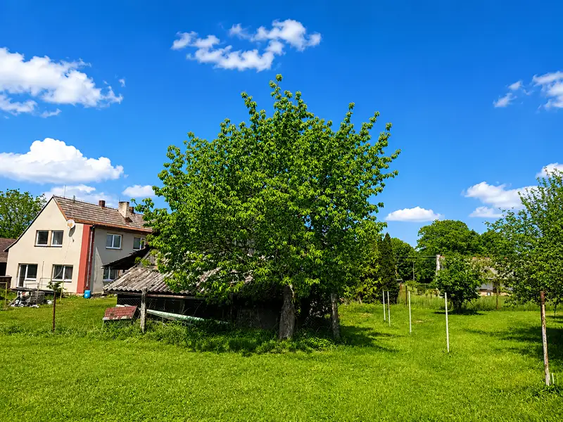 Prodej rodinného domu 200 m², pozemek 5269 m², Sběř – náhled fotky 3