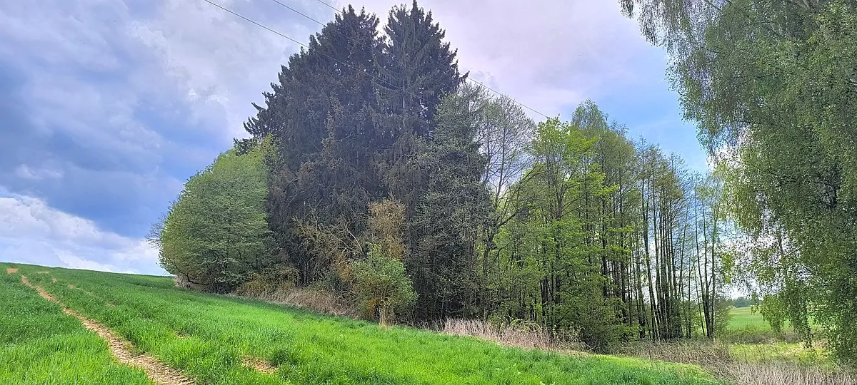 Prodej pozemku 927 m²