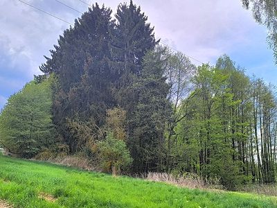 Prodej pozemku 927 m²